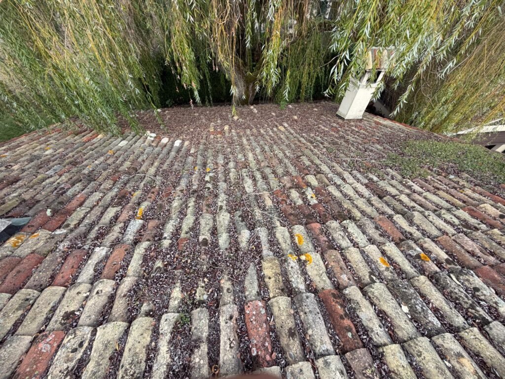 Toiture en tuiles canal anciennes encrassées avant démoussage
