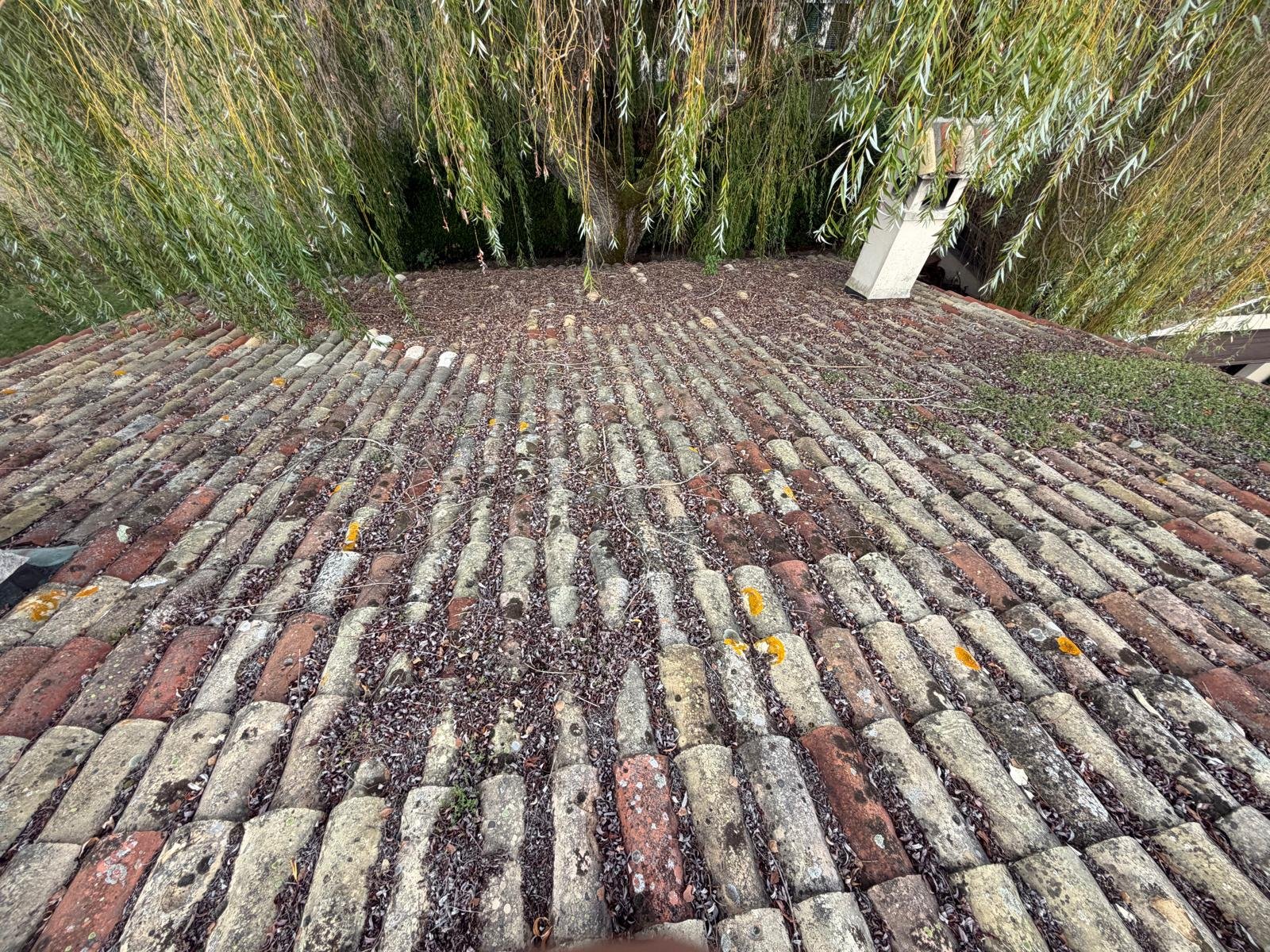 Toiture tuiles canal anciennes encrassees avant demoussage