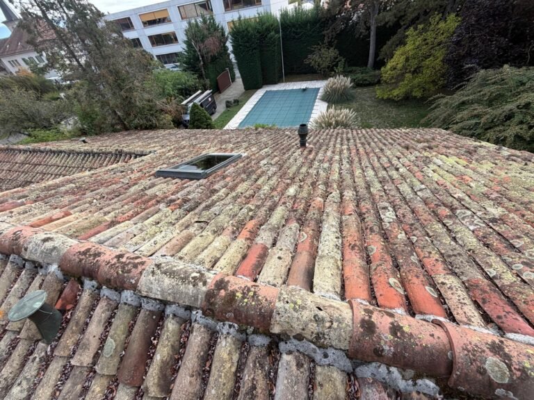 Toiture tuiles canal lichen faitage a renover