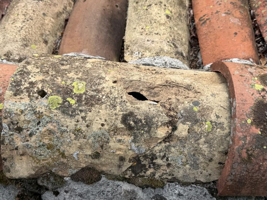 Tuile canal cassée et fissurée à remplacer sur un toit de Valensole