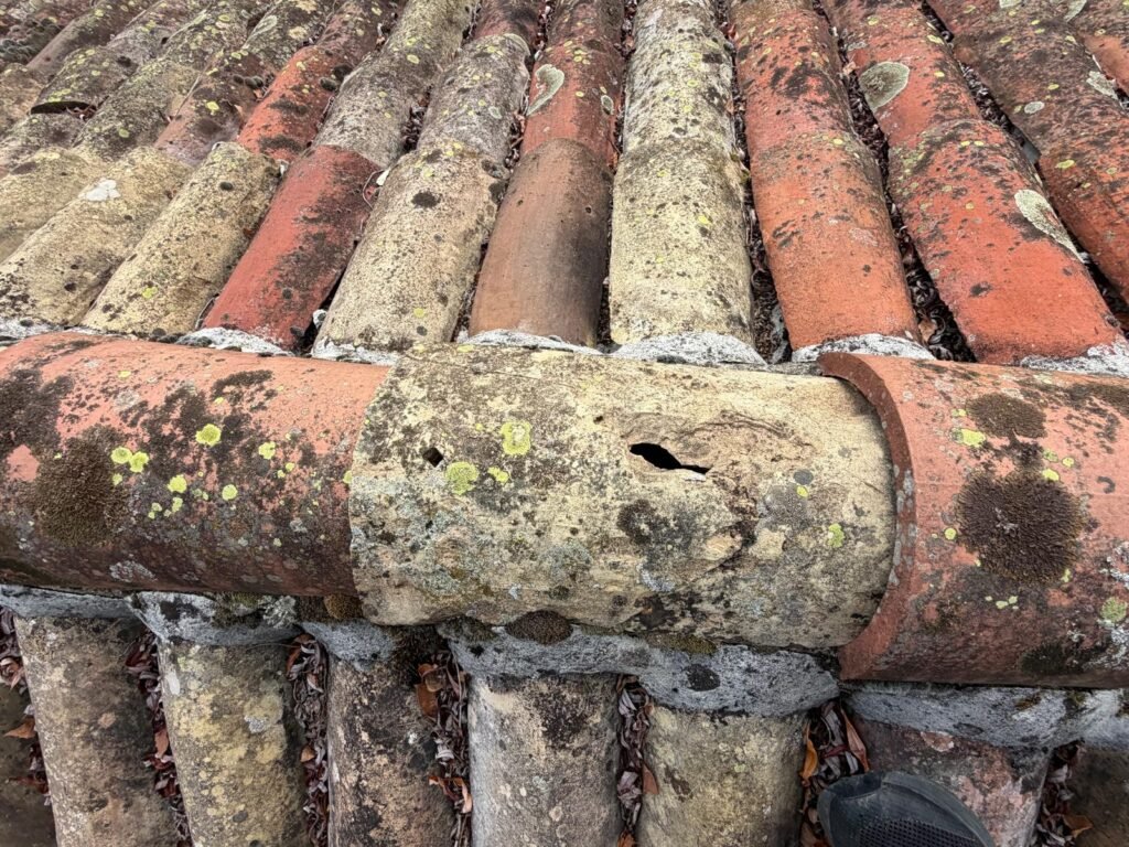 Tuile faîtière fissurée couverte de lichen sur une maison de ville à Riez