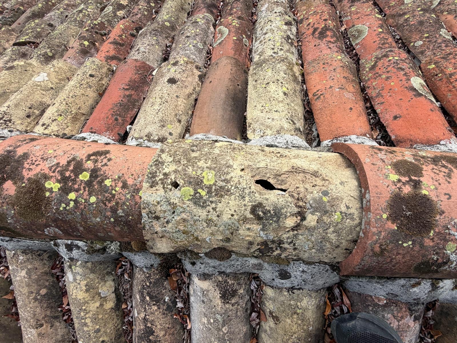 Tuile faitiere fissuree lichen a remplacer